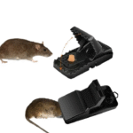 Heavy Duty Rat & Mouse Trap – Reusable Plastic Snap Catcher - Image 4