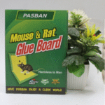 Pack of 2 Pasban Mouse & Rat Glue Catch Trap – Non-Toxic, Strong & Easy Rodent Control - Image 3