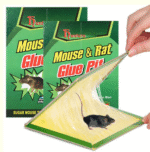 Pasban Mouse & Rat Glue Catch Trap