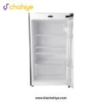 Dawlance 9178 LF 14 Cu Ft E-Chrome Hairline Golden Refrigerator - Image 4