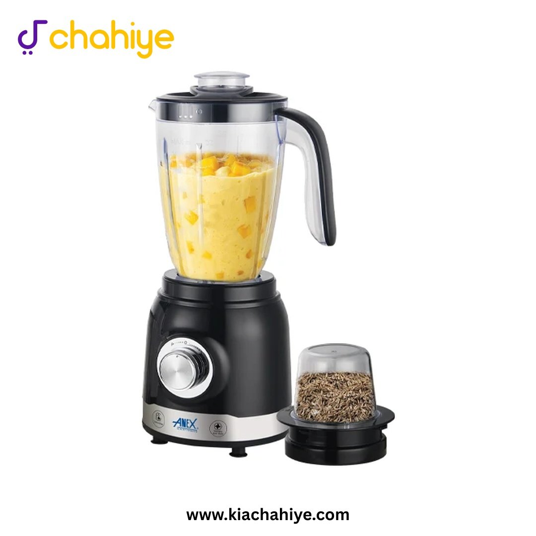 AG-6143 Anex AG-6143 Deluxe Blender Grinder - 550W - Image 1